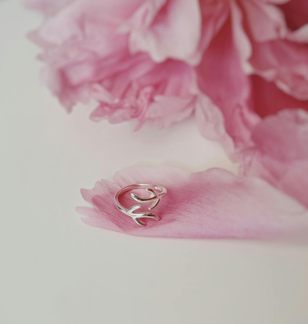 silver ring